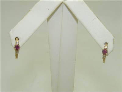 14K Yellow Gold Natural Ruby Earring